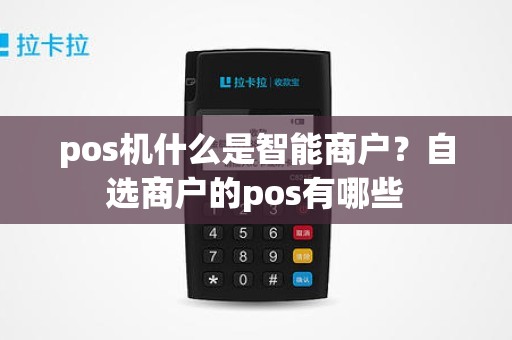 pos机什么是智能商户？自选商户的pos有哪些