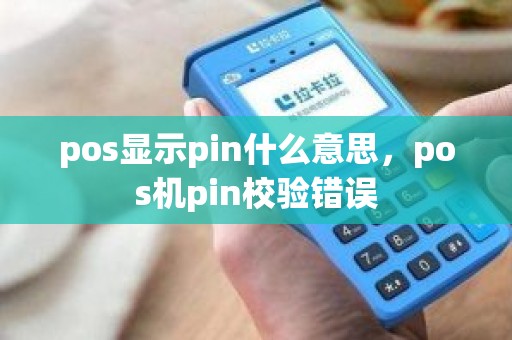pos显示pin什么意思，pos机pin校验错误