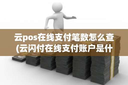 云pos在线支付笔数怎么查(云闪付在线支付账户是什么意思)