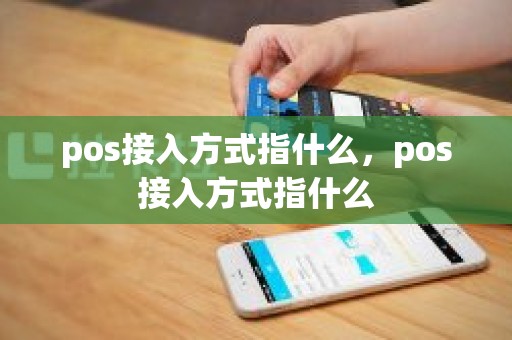 pos接入方式指什么，pos接入方式指什么
