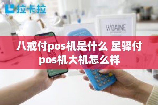 八戒付pos机是什么 星驿付pos机大机怎么样