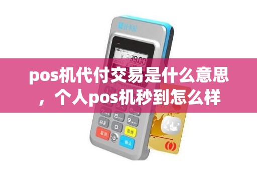 pos机代付交易是什么意思，个人pos机秒到怎么样