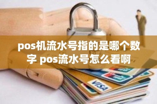 pos机流水号指的是哪个数字 pos流水号怎么看啊