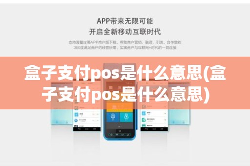 盒子支付pos是什么意思(盒子支付pos是什么意思)