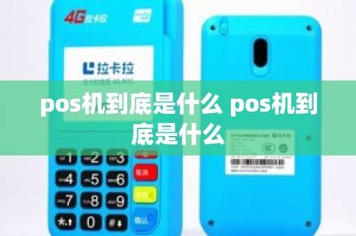 pos机到底是什么 pos机到底是什么