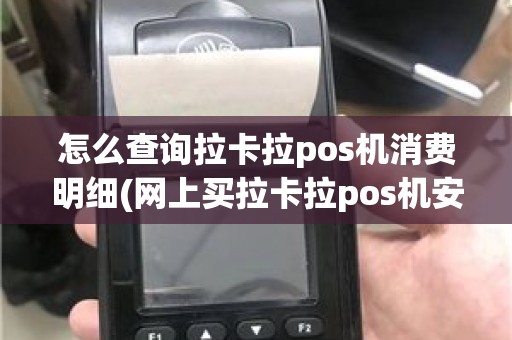 怎么查询拉卡拉pos机消费明细(网上买拉卡拉pos机安全吗)