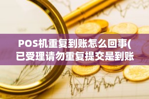 POS机重复到账怎么回事(已受理请勿重复提交是到账了吗)
