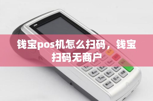 钱宝pos机怎么扫码，钱宝扫码无商户