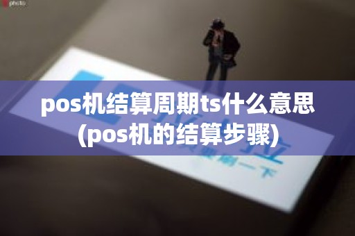 pos机结算周期ts什么意思(pos机的结算步骤)