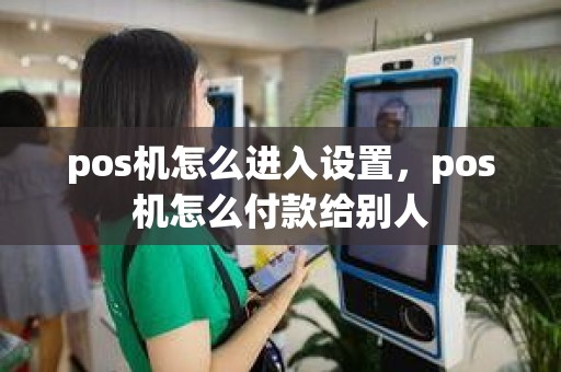 pos机怎么进入设置，pos机怎么付款给别人