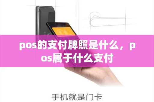 pos的支付牌照是什么，pos属于什么支付