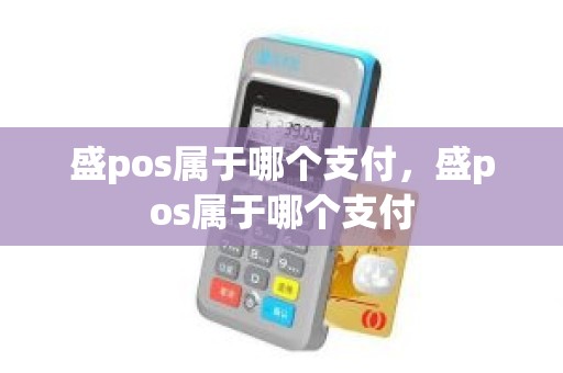 盛pos属于哪个支付，盛pos属于哪个支付