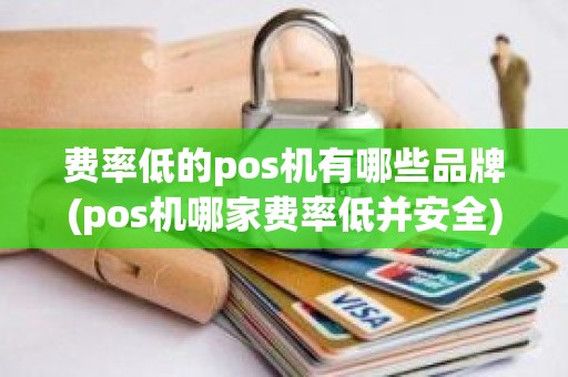 费率低的pos机有哪些品牌(pos机哪家费率低并安全)