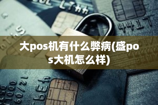 大pos机有什么弊病(盛pos大机怎么样)