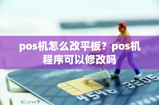 pos机怎么改平板？pos机程序可以修改吗