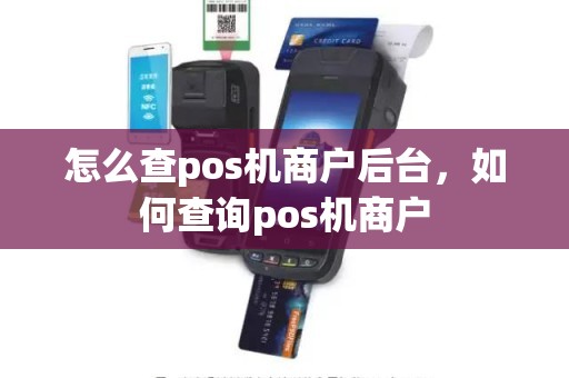 怎么查pos机商户后台，如何查询pos机商户