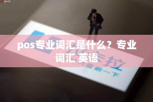pos专业词汇是什么？专业词汇 英语