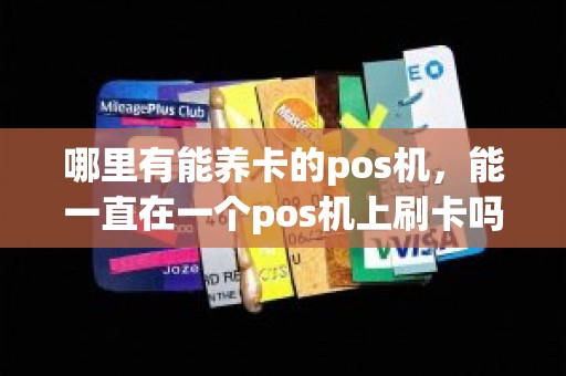 哪里有能养卡的pos机，能一直在一个pos机上刷卡吗