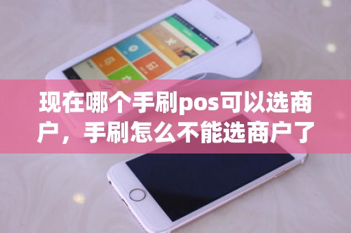 现在哪个手刷pos可以选商户，手刷怎么不能选商户了