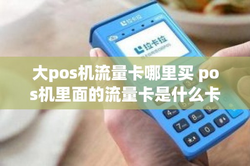 大pos机流量卡哪里买 pos机里面的流量卡是什么卡 大pos机流量卡哪里买 pos机里面的流量卡是什么卡