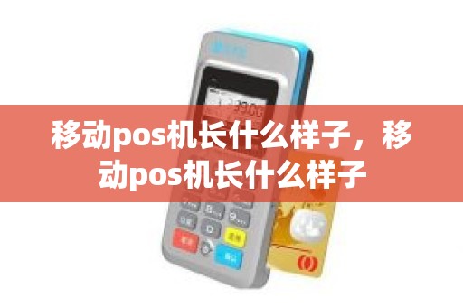 移动pos机长什么样子，移动pos机长什么样子