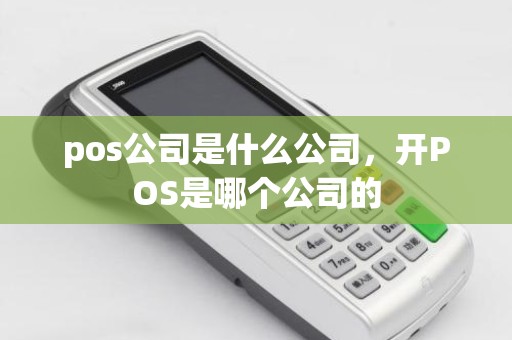 pos公司是什么公司，开POS是哪个公司的
