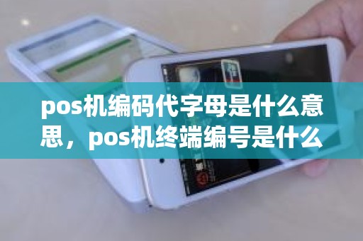 pos机编码代字母是什么意思，pos机终端编号是什么意思