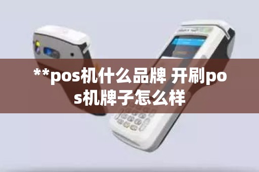 **pos机什么品牌 开刷pos机牌子怎么样