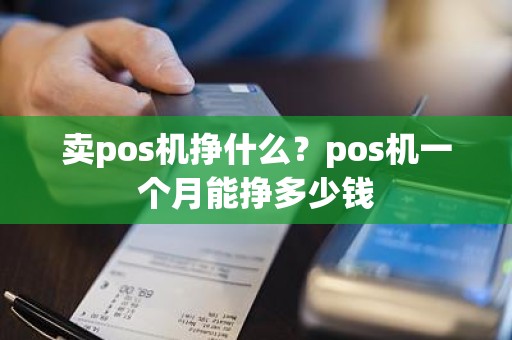 卖pos机挣什么？pos机一个月能挣多少钱
