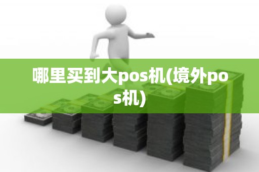 哪里买到大pos机(境外pos机)