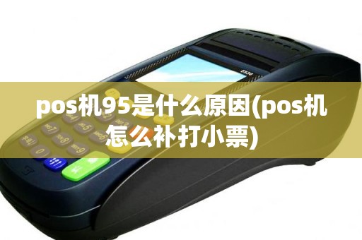 pos机95是什么原因(pos机怎么补打小票)