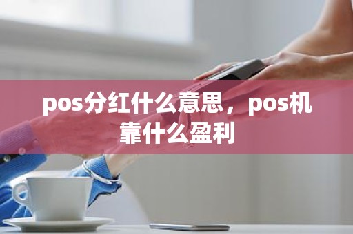 pos分红什么意思，pos机靠什么盈利