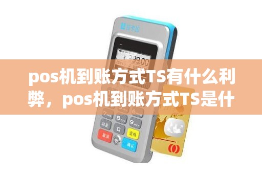 pos机到账方式TS有什么利弊，pos机到账方式TS是什么意思