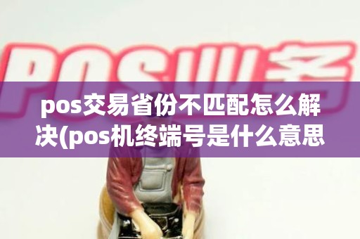 pos交易省份不匹配怎么解决(pos机终端号是什么意思)