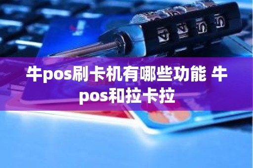 牛pos刷卡机有哪些功能 牛pos和拉卡拉