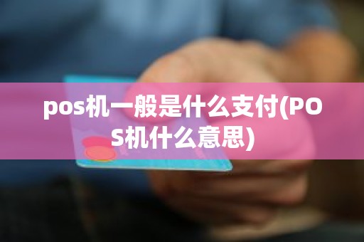 pos机一般是什么支付(POS机什么意思)