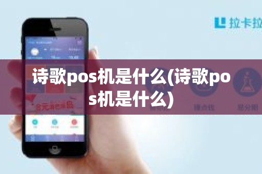 诗歌pos机是什么(诗歌pos机是什么)