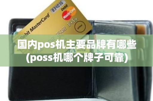 国内pos机主要品牌有哪些(poss机哪个牌子可靠)