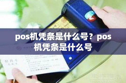 pos机凭条是什么号?pos机凭条是什么号 pos机凭条是什么号?pos机凭条是什么号