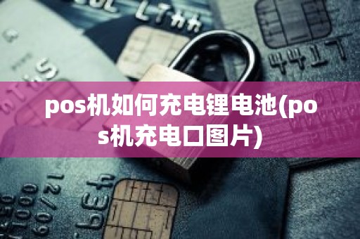 pos机如何充电锂电池(pos机充电口图片)