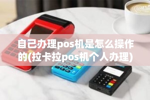 自己办理pos机是怎么操作的(拉卡拉pos机个人办理)