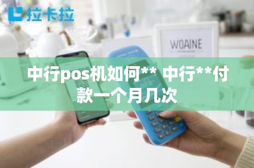 中行pos机如何** 中行**付款一个月几次