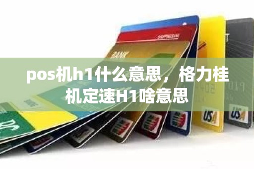 pos机h1什么意思，格力桂机定速H1啥意思