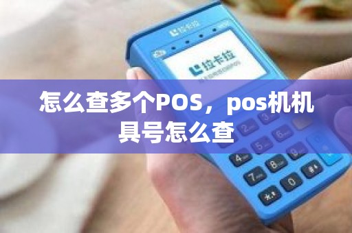 怎么查多个POS，pos机机具号怎么查