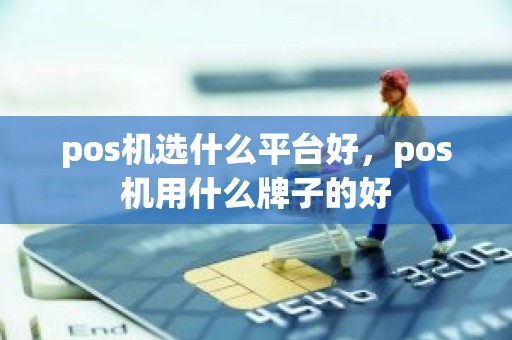 pos机选什么平台好，pos机用什么牌子的好
