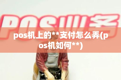 pos机上的**支付怎么弄(pos机如何**)
