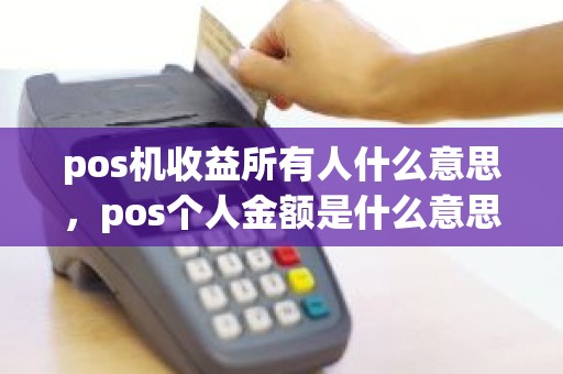 pos机收益所有人什么意思，pos个人金额是什么意思