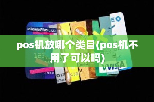 pos机放哪个类目(pos机不用了可以吗)