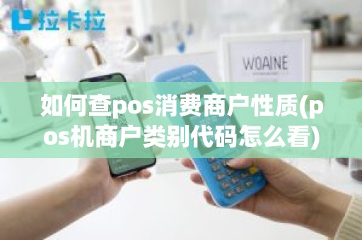 如何查pos消费商户性质(pos机商户类别代码怎么看)