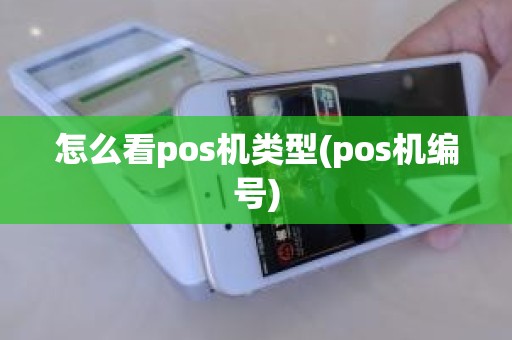 怎么看pos机类型(pos机编号)